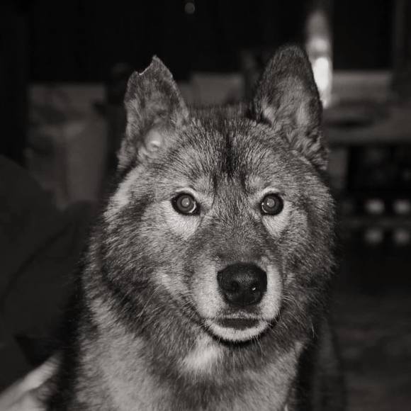 Meet your Posher, Jess - Picture 1 of 1